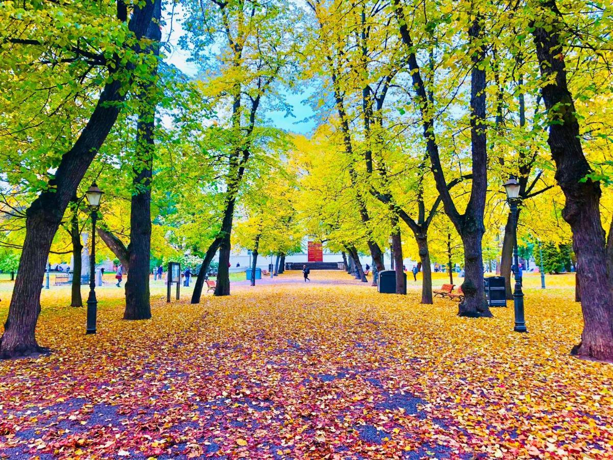 Scandinavian Home 21 In Heard City Хельсинки Экстерьер фото